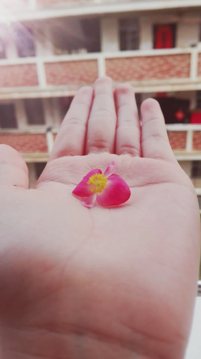 夏日最美的情话丨那些让我心动的温柔告白