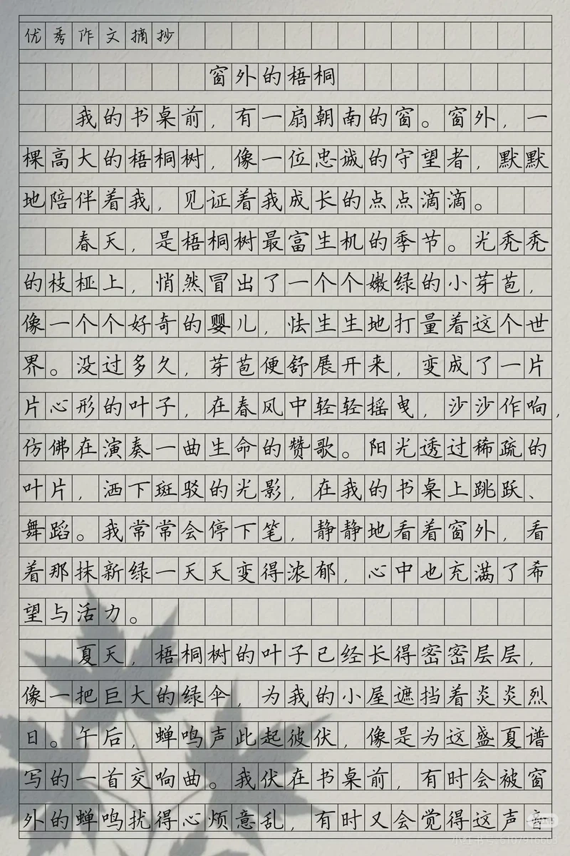 观察梧桐树的日记… 观察梧桐树的日记…