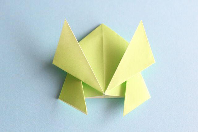 折青蛙的下午 折青蛙的下午