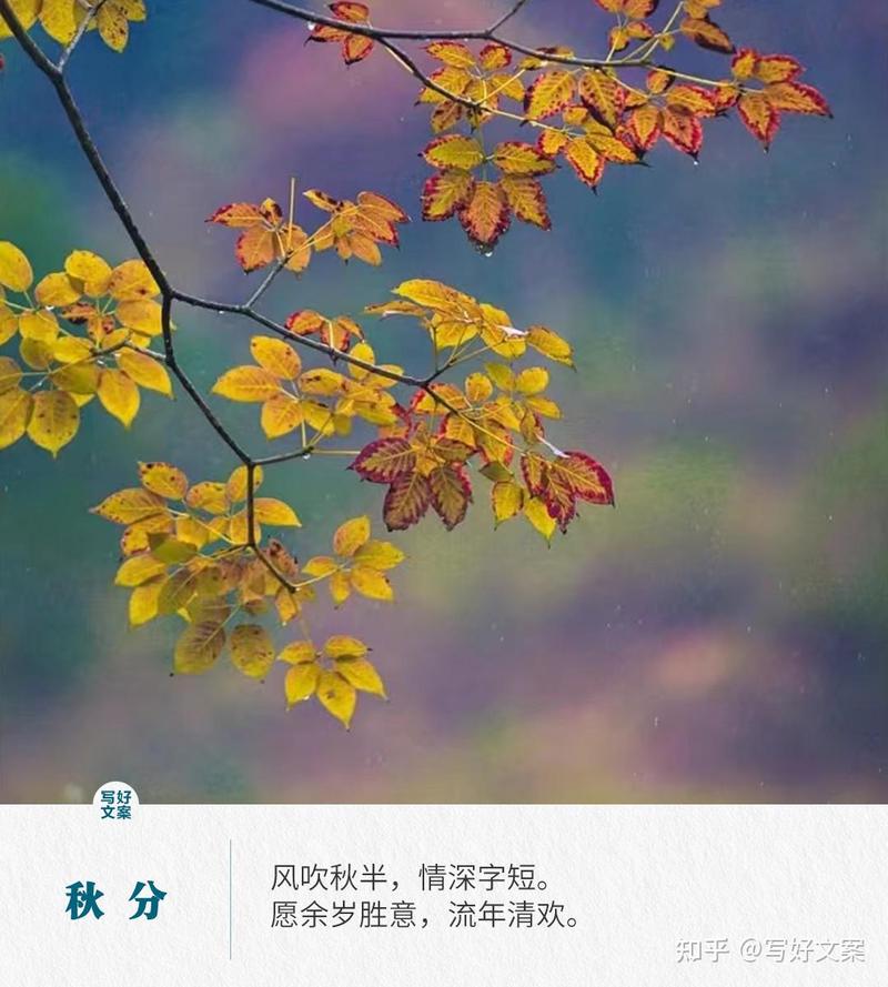 秋末情话·那些温柔又动人的告白