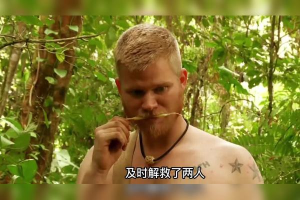 荒岛上的奇迹丨爱与勇气的交响曲