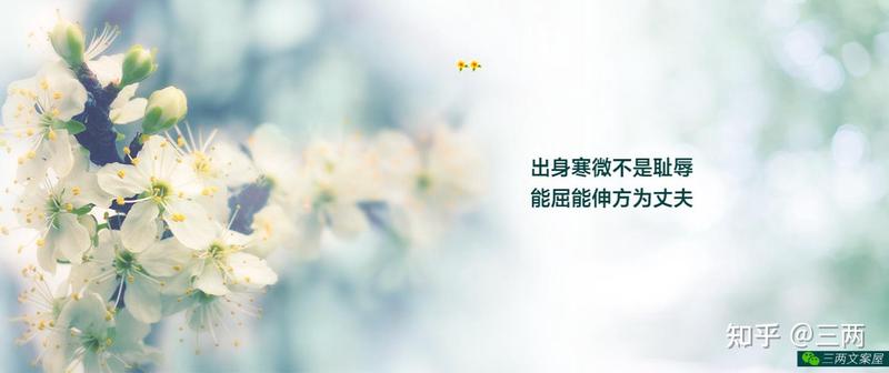 招摇路上的情话—那些让心怦然心动的话语