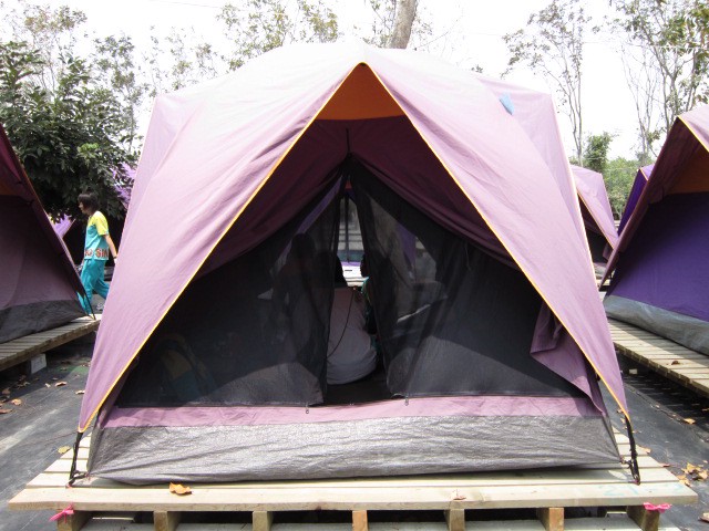 小脚丫踩进草丛里的第一天？