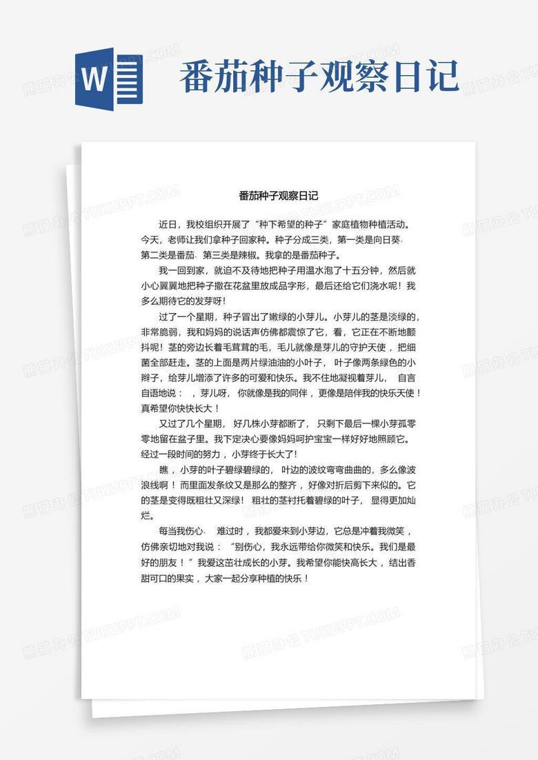 小油菜在阳台长成小绿人了…