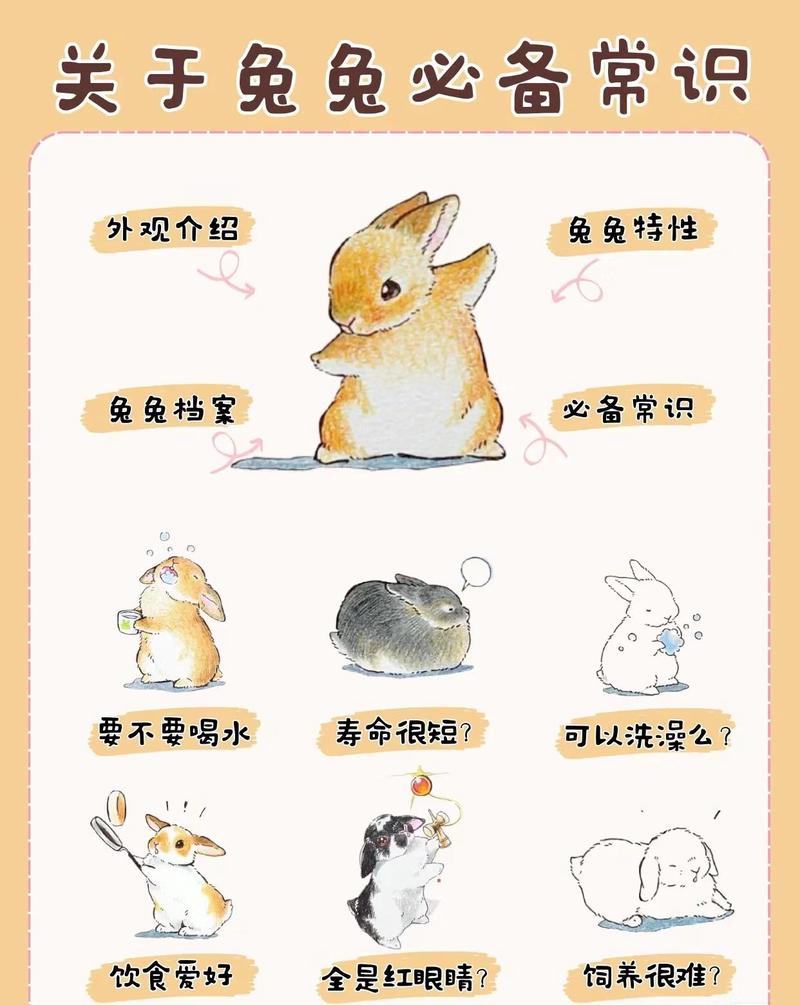 今天的小白兔又让我笑出声了！