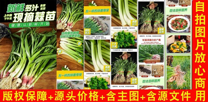 生蒜苗的奇妙旅程… 生蒜苗的奇妙旅程…