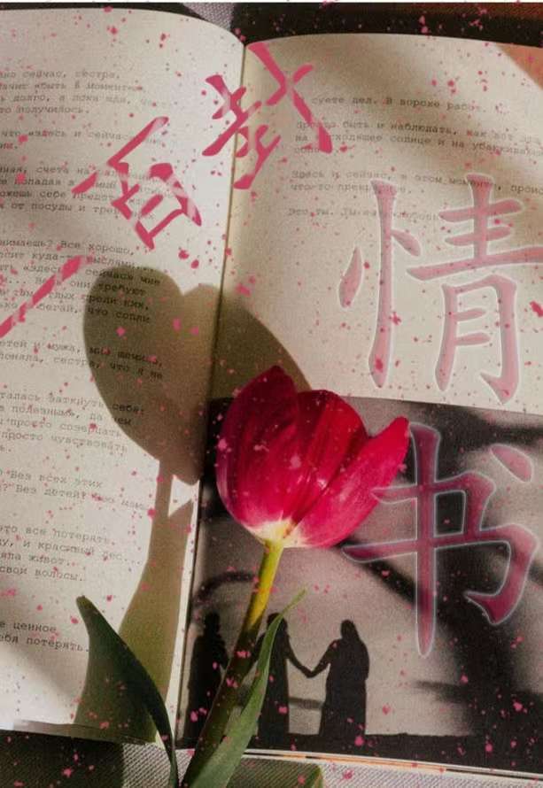 生活里最动人的温柔