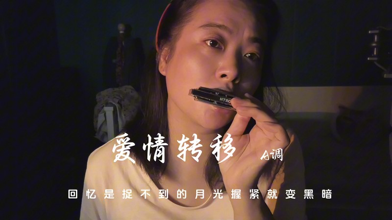 月光下的口风琴旋律，我们的爱情神话