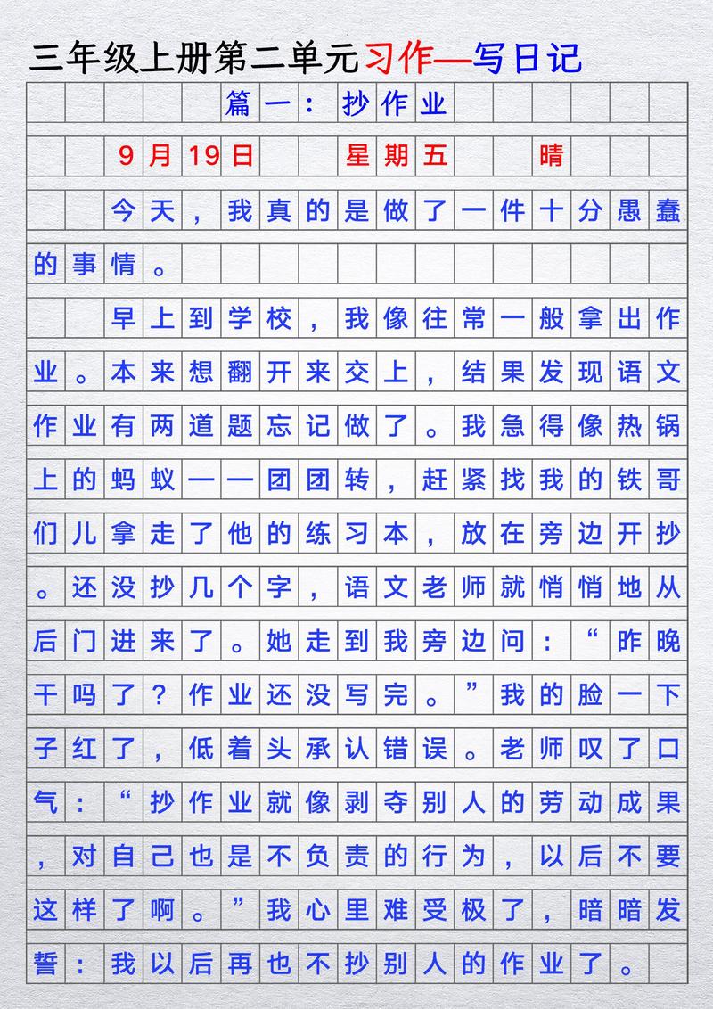 新学期的挑战与收获！
