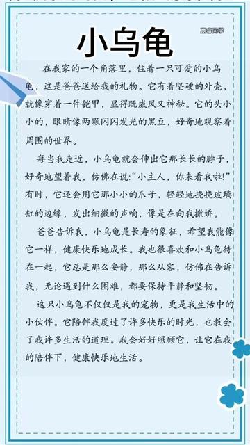 小乌龟的午后奇遇！