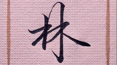 毛笔字日记的奇妙旅程？