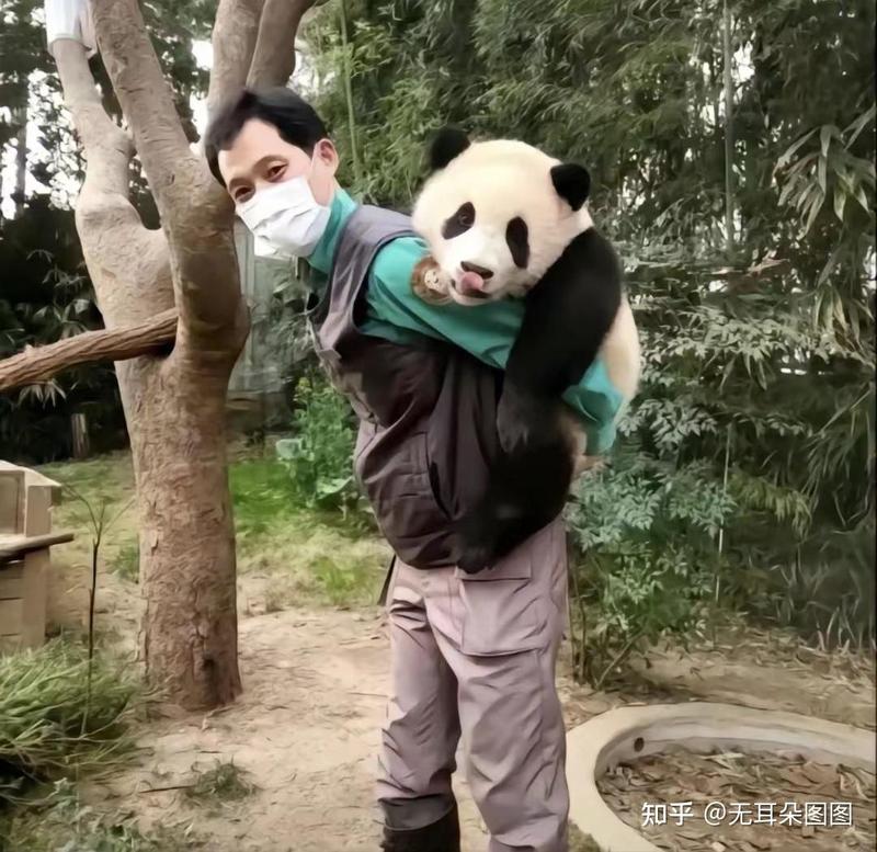 宋爷爷的情话丨岁月深处的温柔告白