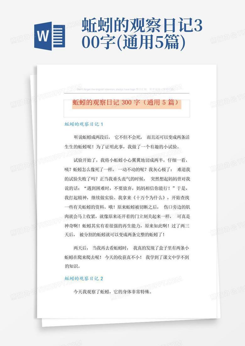 观察小狗日记 观察小狗日记