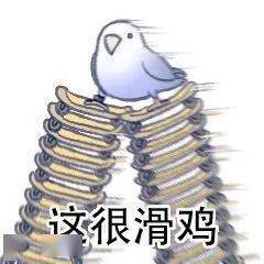 小鸟的情话·一场甜蜜的追求之旅