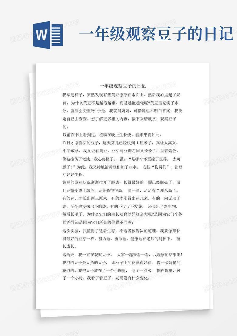 豆子的生长日记丨从土壤到绿叶的旅程