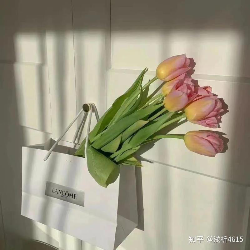 唯美情话丨书籍中的浪漫之旅