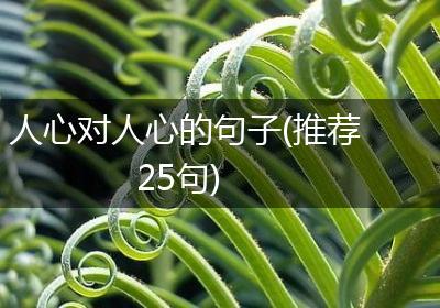 收拢人心的情话｜爱的千面万相