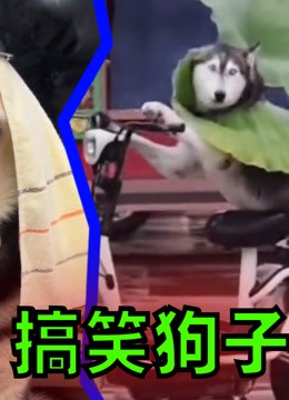 情话，是爱情的甜蜜蜜语…