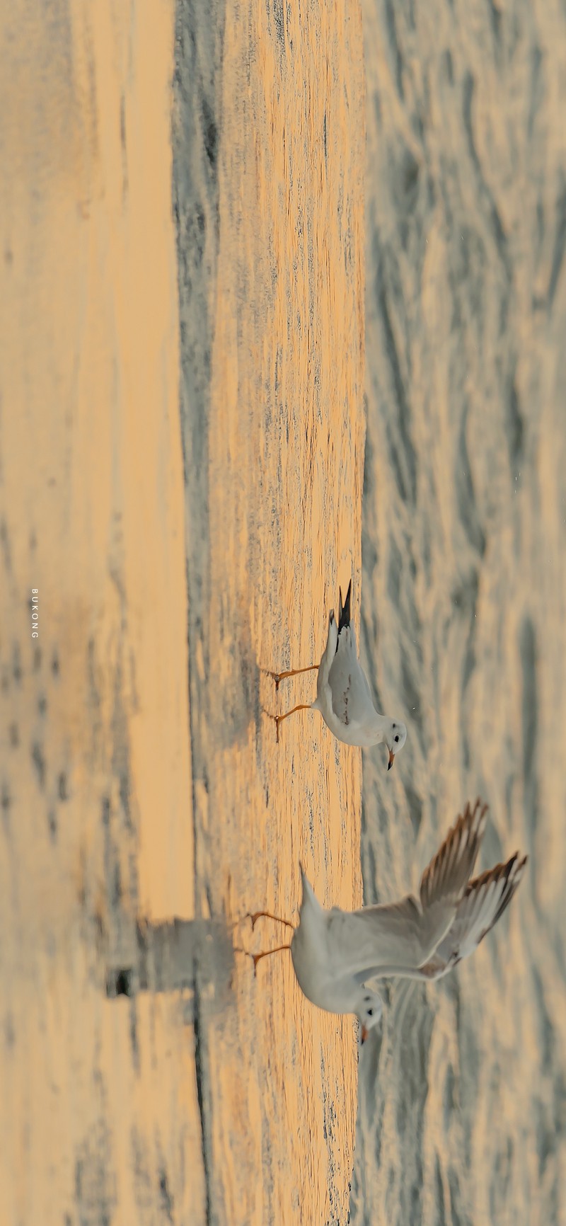 心语壁纸：每一幅画都是对你的深情告白