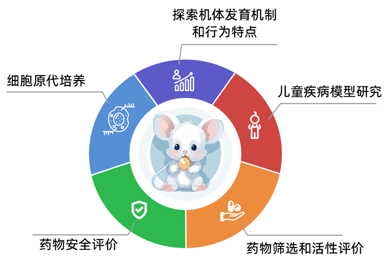 猫抓了我半条毛衣…