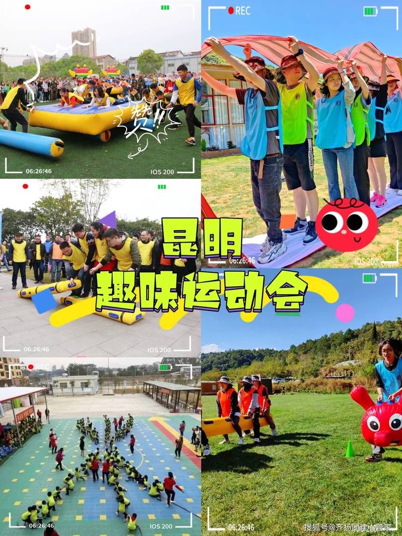运动场上的欢声笑语？