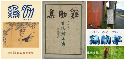 鸟鸡情话—爱情的浪漫表达