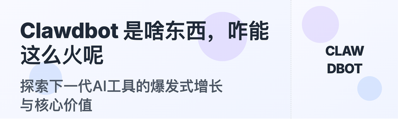 小白兔的告别之旅…