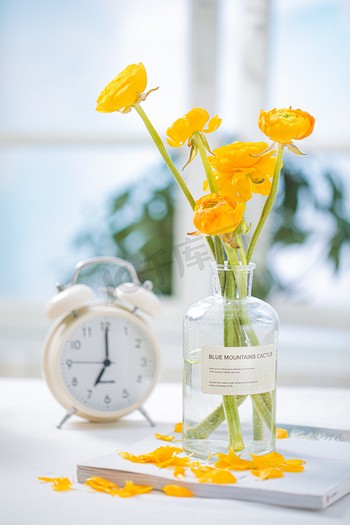 早安，我的阳光丨—早安情话截图集锦