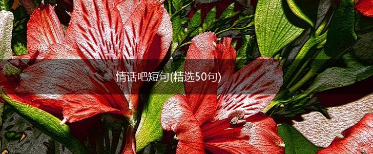 一句短，情意长丨那些藏在日常里的温柔