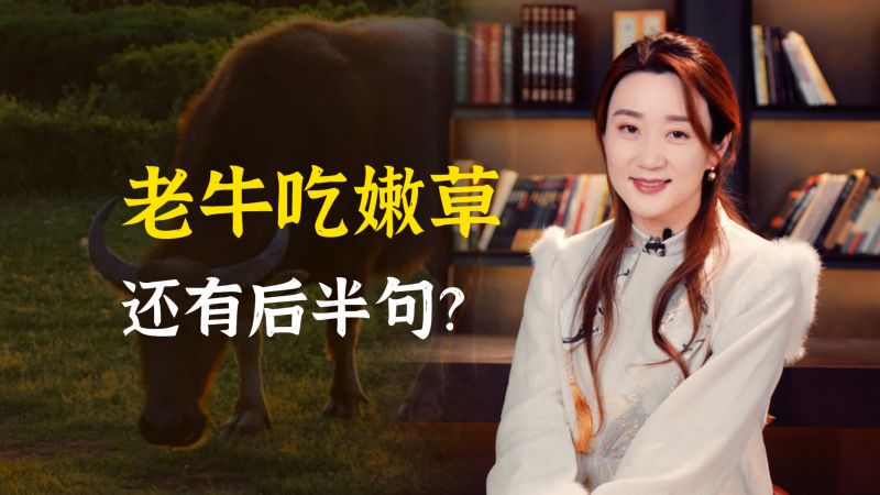 老牛吃草，爱情最温柔的告白！