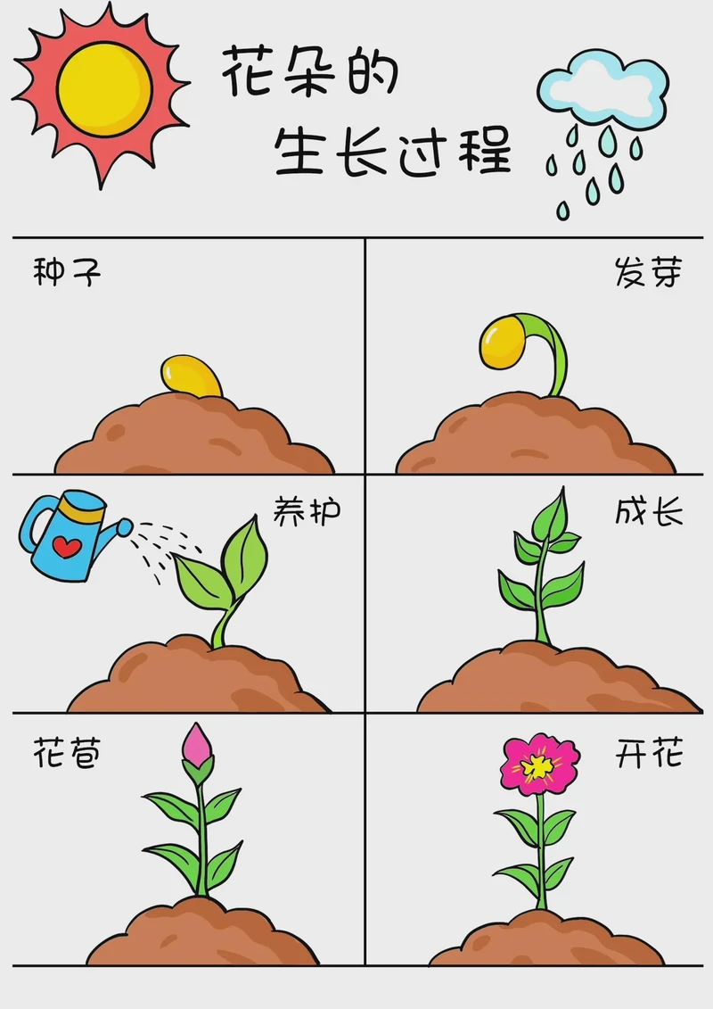 阳台上的小惊喜:观察植物成长的奇妙日记 阳台上的小惊喜:观察植物成长的奇妙日记