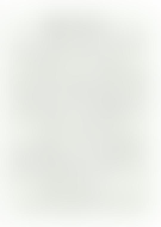 生豆芽的奇妙旅程·一粒种子到绿色生命的蜕变