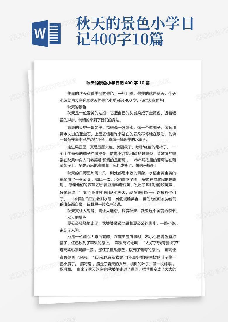 秋日琐记丨风起时,落叶是天空的信笺 秋日琐记丨风起时,落叶是天空的信笺