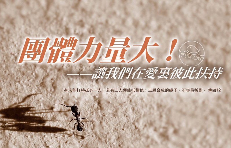 微小世界里的宏大叙事