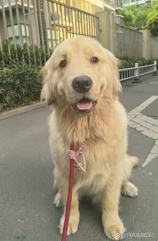 姐姐回家了 姐姐回家了