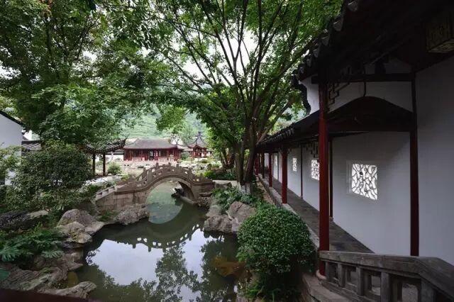 猪小明的茅台情话·一坛酒，半生温柔