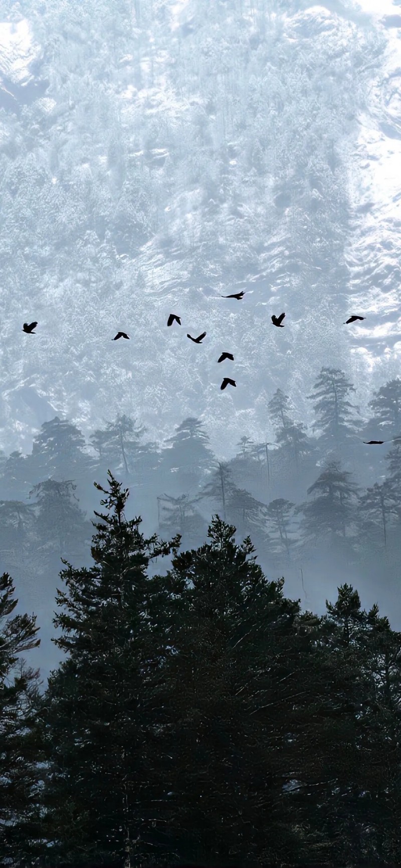 边角料里的浪漫时光？