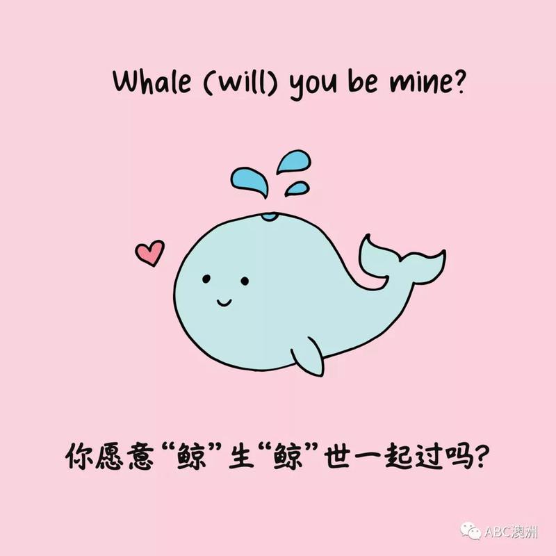 鲸鱼之恋—海洋深处的温柔告白 鲸鱼之恋—海洋深处的温柔告白