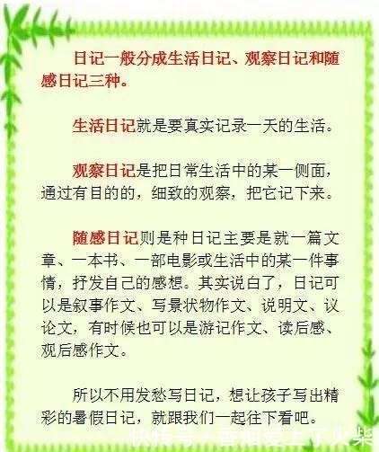 蝉鸣声里的一天