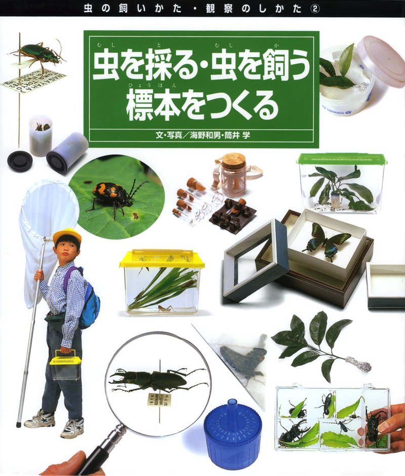 蚂蚁王国的秘密日记？