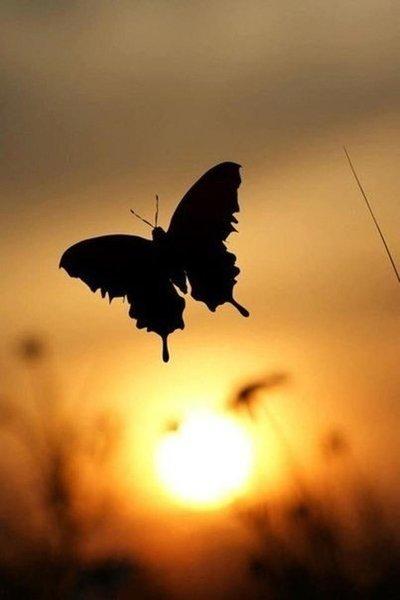 上古情话—那些刻在我心上的温柔印记