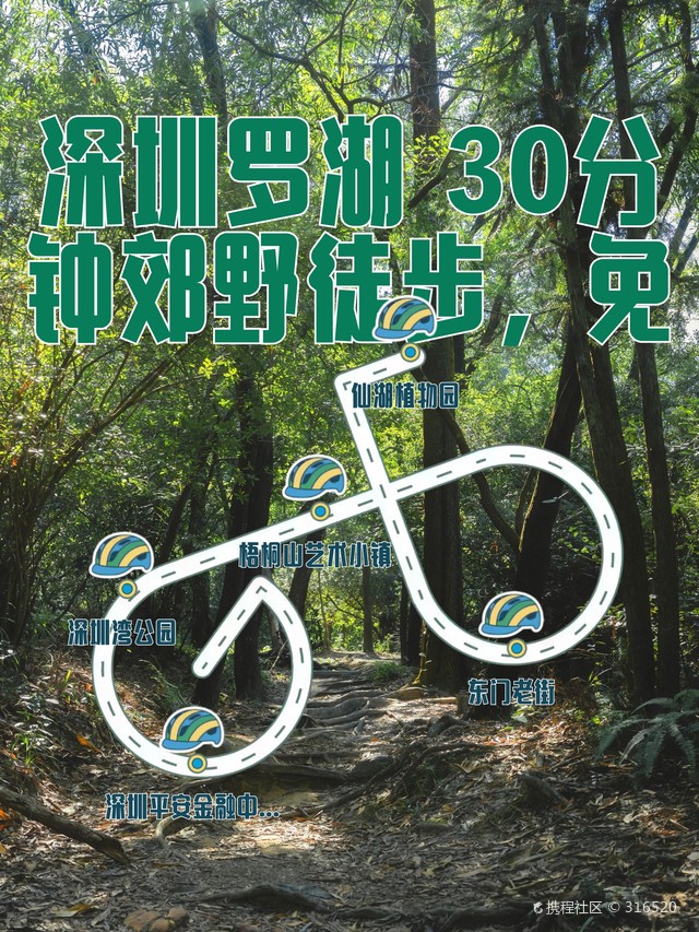 梧桐山的日记｜山间漫步，心灵的洗礼